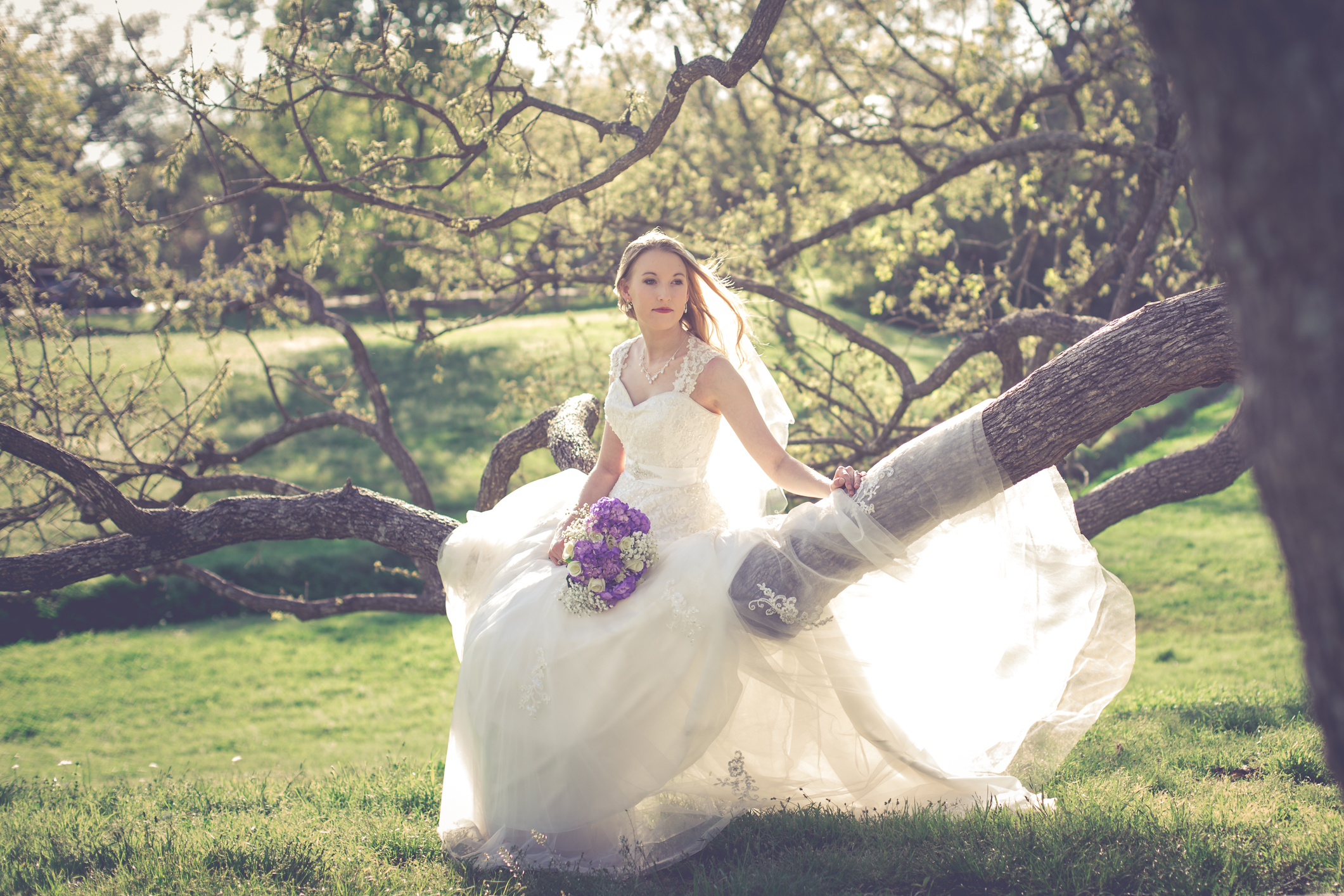 Brison Park Bride Lori Blythe Photography